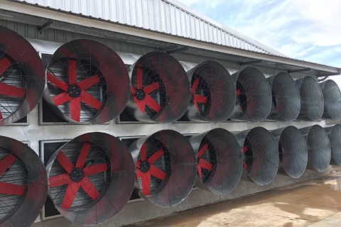 size 2000x800 2 9090